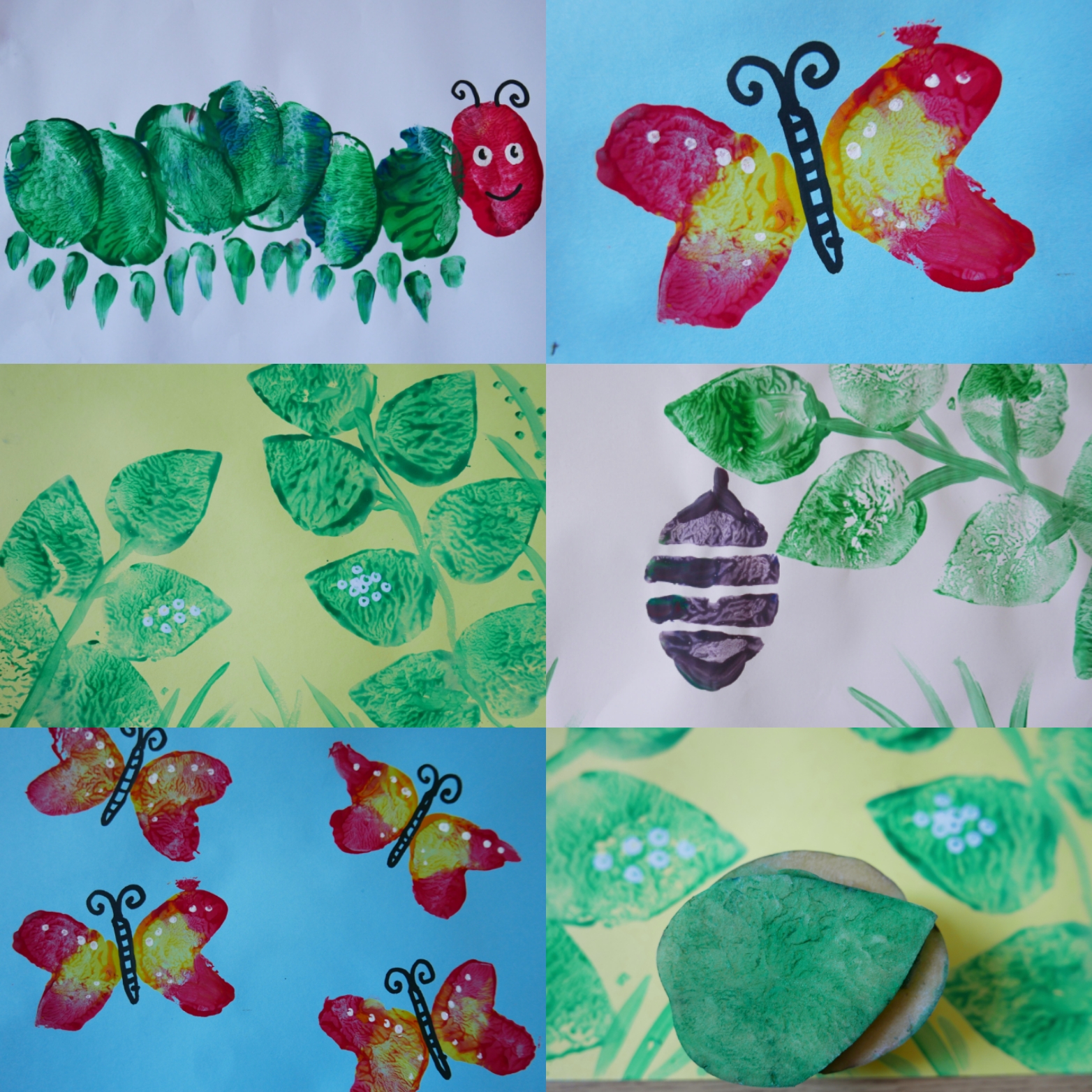 Butterfly Life Cycle In Action & Butterfly Drawing Activity Sheet | Glazer  Children's Museum